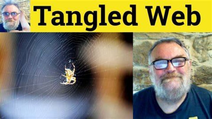 A Tangled Web &raquo; Blog Archive &raquo; I love Trey Gowdy