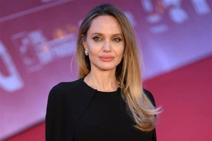 Angelina Jolie How did she rise to fame and her net worth?