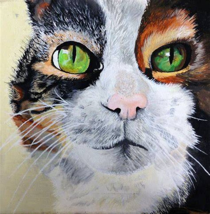 AP Art Work Dawn Cutrofello