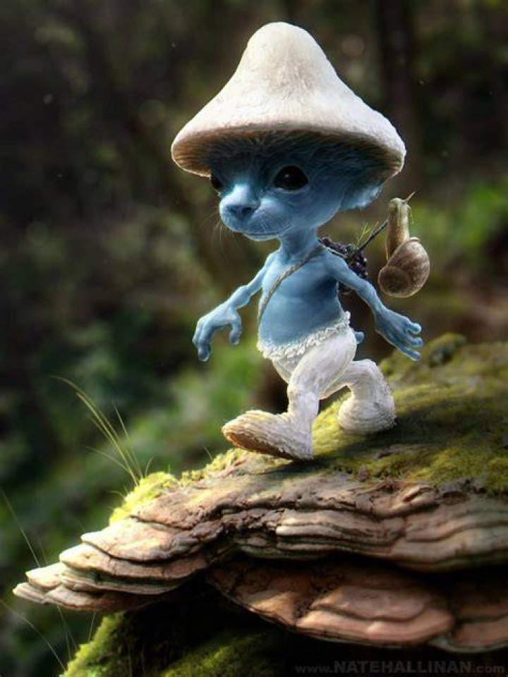 Arte Digital Pitufo realista por Nate Hallinan Diversion Ocio
