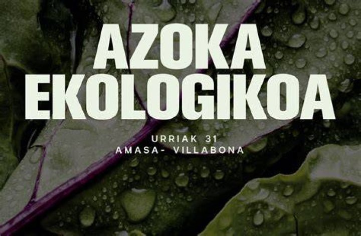 Azoka ekologikoa