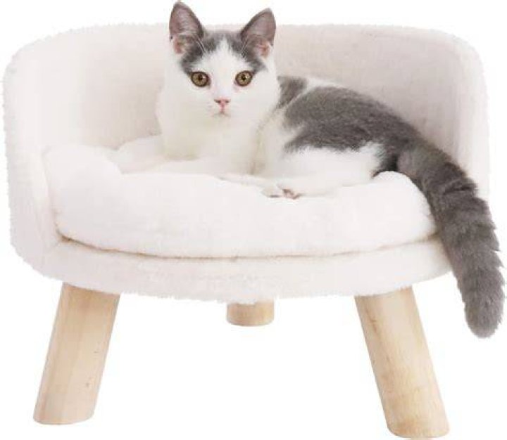 BingoPaw Cat Sofa Chair Bed Elevated Nordic Pet Stool Bed with