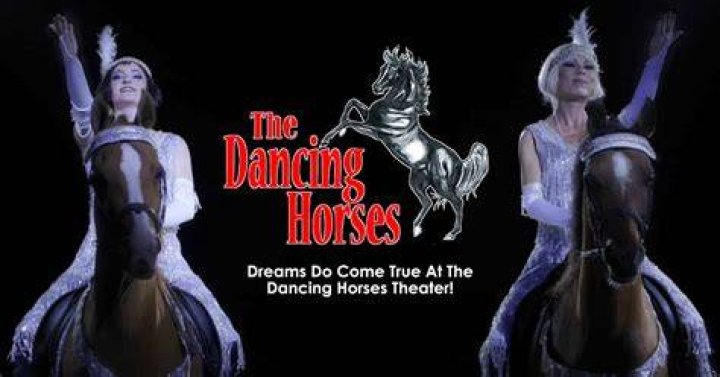 Enchanting Elegance: The World Of Black Dancing Horses