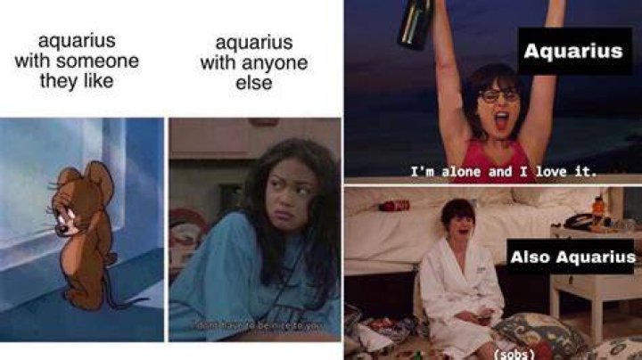 Funny Aquarius Season Memes to Share With Friends