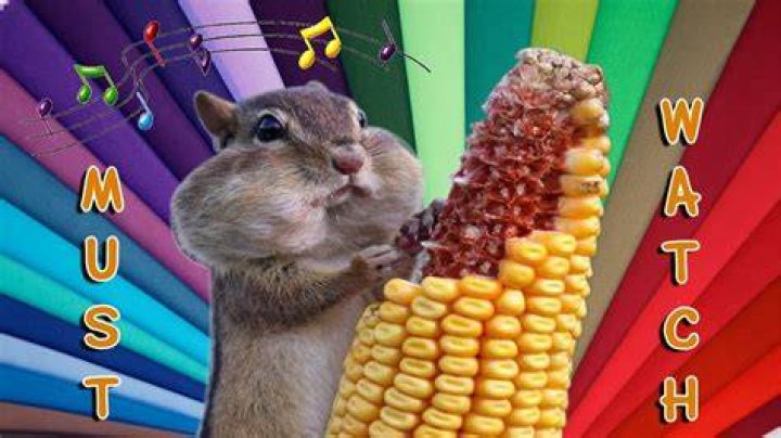 [Funny] MUST WATCH! Alan Wake Chipmunk Song YouTube