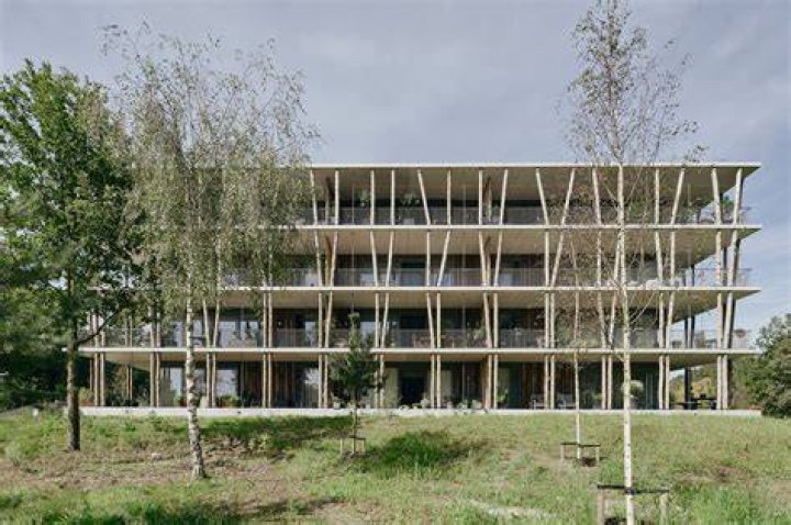 Gallery of ‘t Bosbad / GAAGA 33