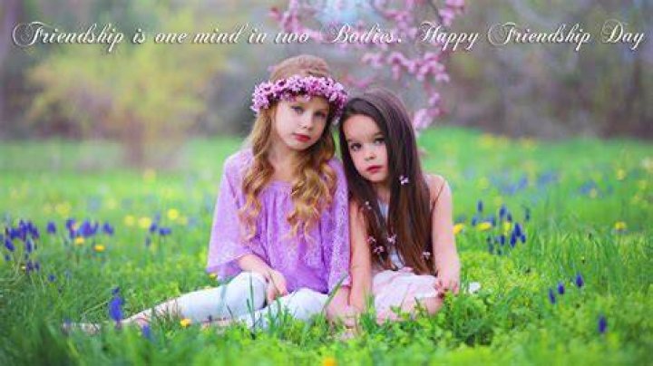 Girls Best Friend, Best Friends, Labrador Retriever, Edit, Dogs