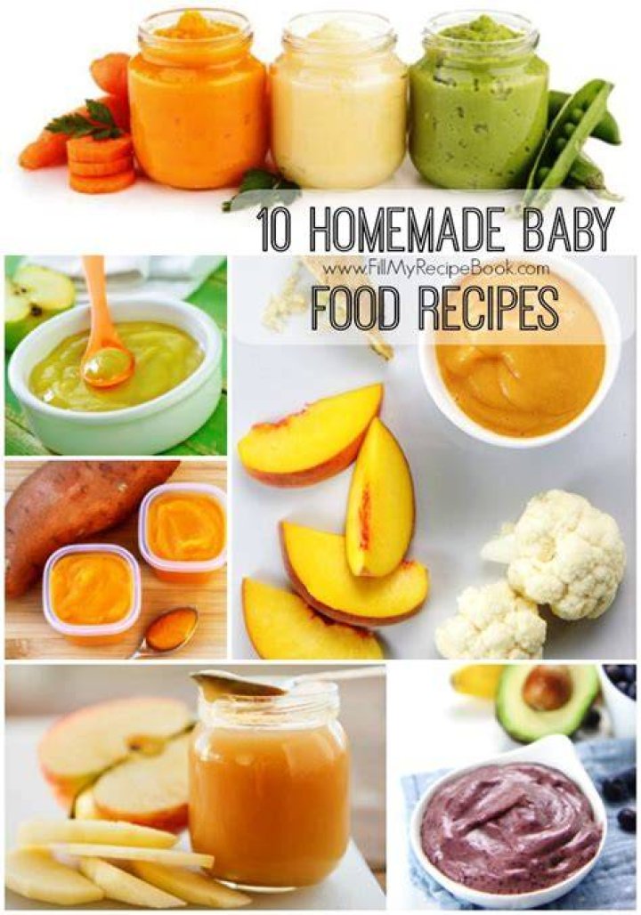 Homemade Baby Food Recipes and Tips Wholesome Baby Food Guide