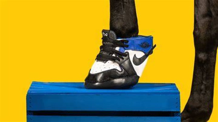 Horse Kicks Is Turning Popular Sneaker Designs Into &lsquo;Horse Kicks&rsquo; Complex