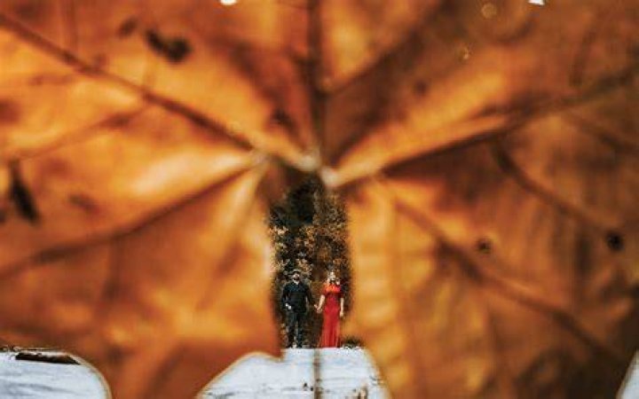 Image about photography inspiration in my uploads 💖 by 🥀 in 2021