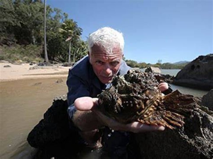 Jeremy Wade Rodman IMDb