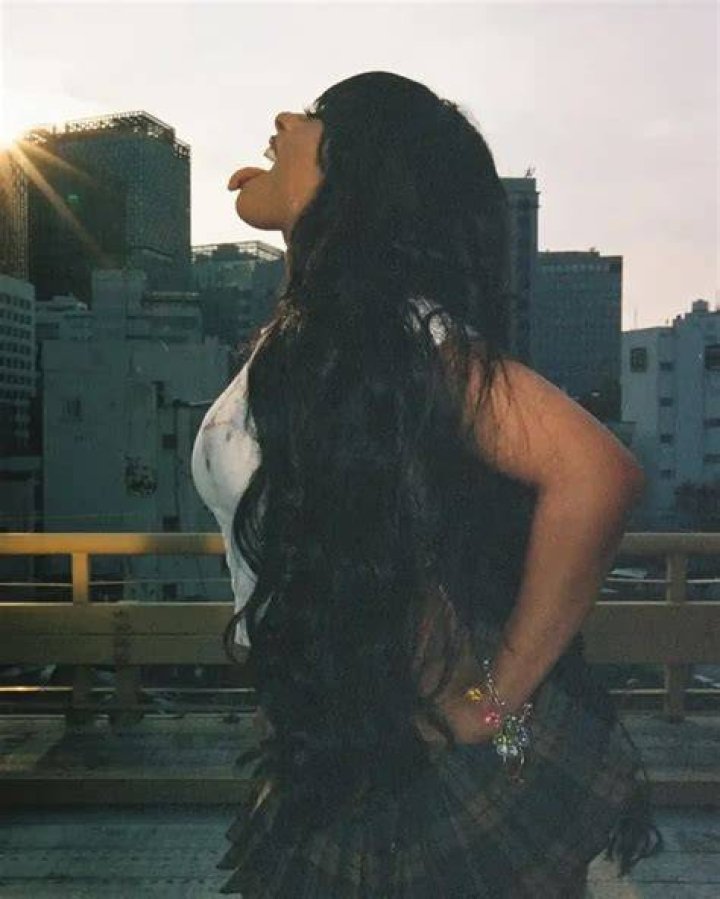 Megan Thee Stallion's Ethnicity: Exploring Her Roots And Heritage