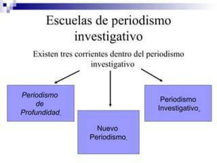 P&aacute;gina 6 Periodismo investigativo de las islas