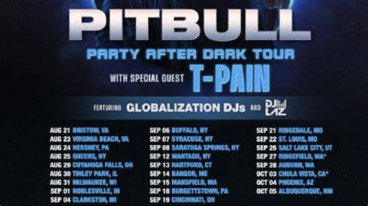 Pitbull After Dark Party