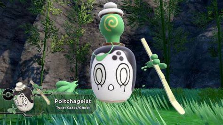 Poltchageist Pok&eacute;mon Scarlet and Violet Know Your Meme