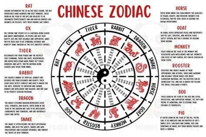 Printable Chinese Zodiac Chart