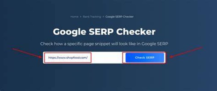The All-in-One SERP Position Checker: Track Your Website's Visibility