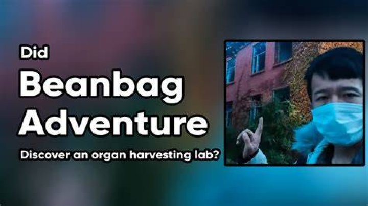 The Beanbag Adventure Beanbag adventure original video