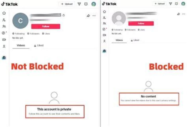 TikTok Account Is Blocked Here&rsquo;s What to Do 4K Download