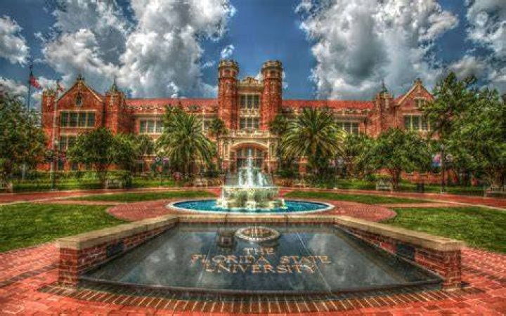 University of Florida and the Devy Landscape Vacated Production and