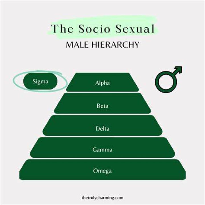 Who Are Sigma Males On TikTok? Everything You Need To Know BrunchVirals