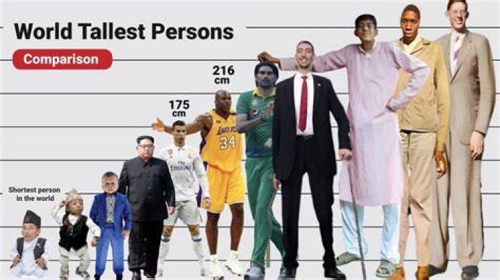 Who Are The Tallest And The Shortest TWICE? &bull; Kpopmap