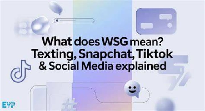 WSG Meaning In Texting Slang Decoded [June 2024] TexTribe